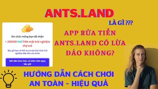 Ants land là gì