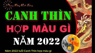 Canh thìn hợp màu gì 2022