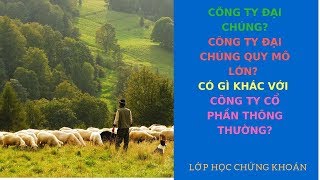 Công ty cổ phần đại chúng là gì