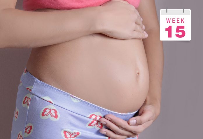 Dấu hiệu thai nhi 15 tuần tuổi khỏe mạnh