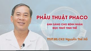 đơn tinh thể là gì