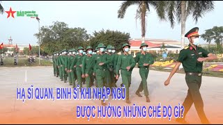 Hạ sĩ quan binh sĩ la gì