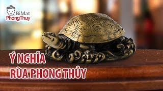 Mai rùa phong thủy