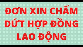 Mau don xin cham dut hop dong lao dong