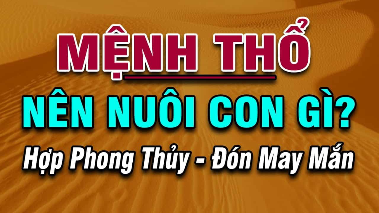 Mệnh thổ nuôi con gì