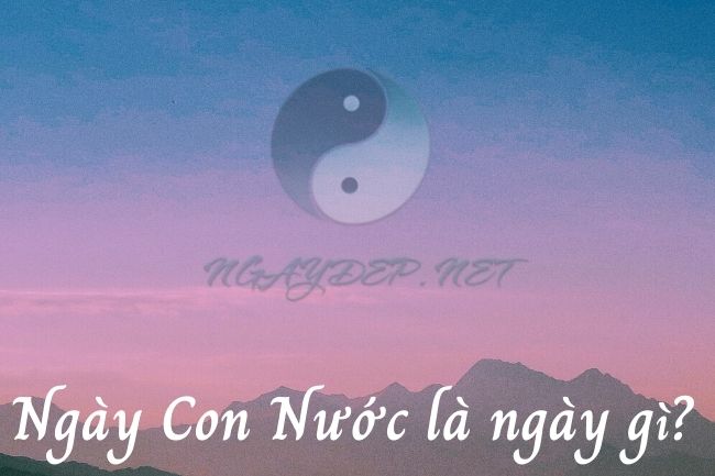 Ngày nghén nước