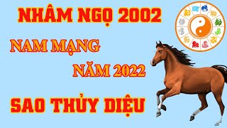 Nhâm ngọ 2002