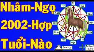 Nhâm ngọ bao nhiêu tuổi