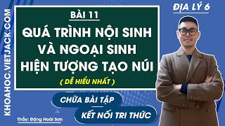 Nội sinh có xu hướng nào sau đây