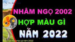 Nữ 2002 hợp màu gì năm 2022