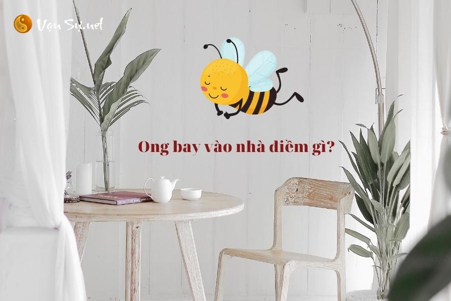 Ong bay vào nhà là điềm báo gì