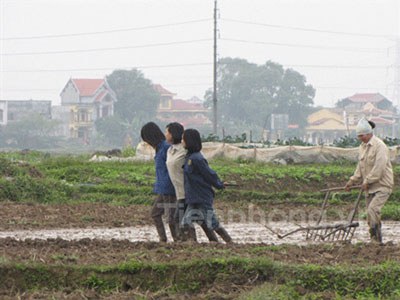 Quang lập bao nhiêu tuổi