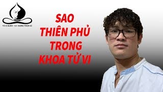 Sao thiên phủ