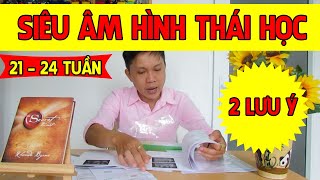 Siêu âm hình thái là gì