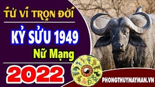 Sinh năm 1949 hợp màu gì