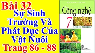 Sinh trưởng của vật nuôi là gì