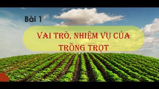 Tầm quan trọng của trồng trọt là gì