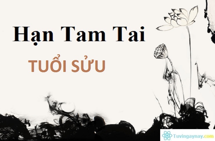 Tam tai tuổi sửu