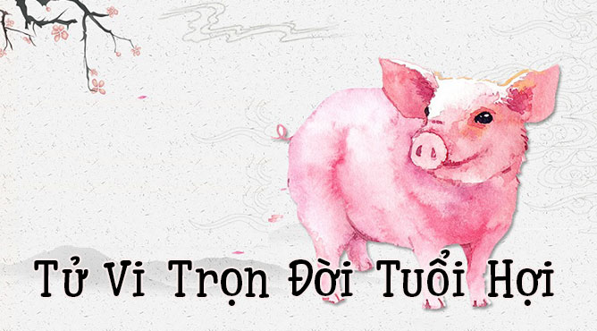 Tân hợi bao nhiêu tuổi