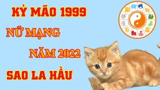 Tình duyên tuổi mão 1999 năm 2021