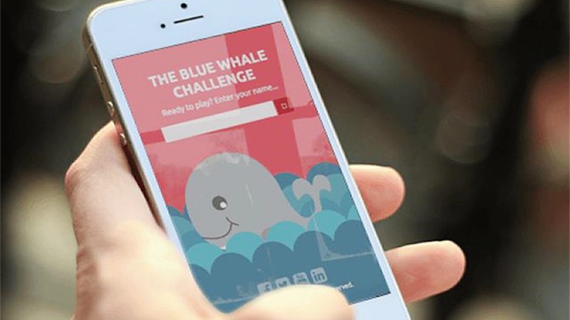 Trào lưu cá voi xanh là gì
