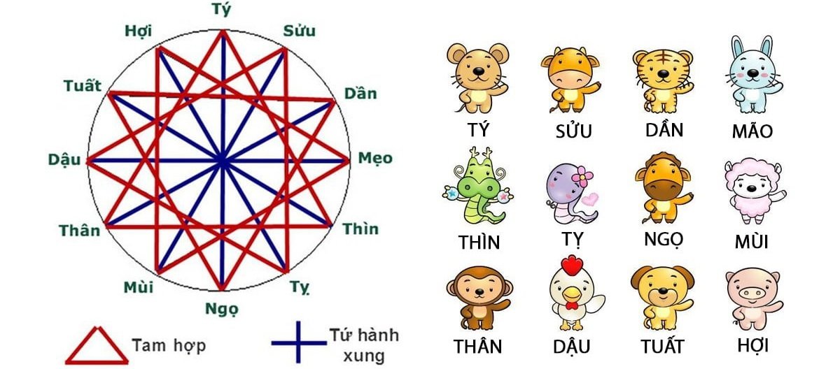 Tứ hành xung tuổi dần