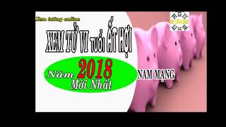 Tử vi tuổi ất hợi năm 2018