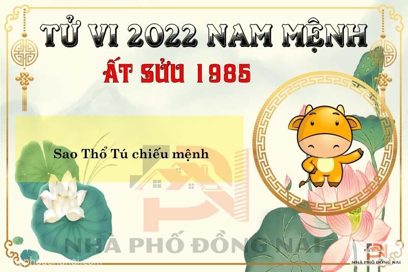 Xem Tử Vi Tuổi Ất Sửu 1985 Năm 2022 Nam Mạng Chi Tiết