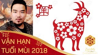 Tử vi tuổi kỷ mùi năm 2018