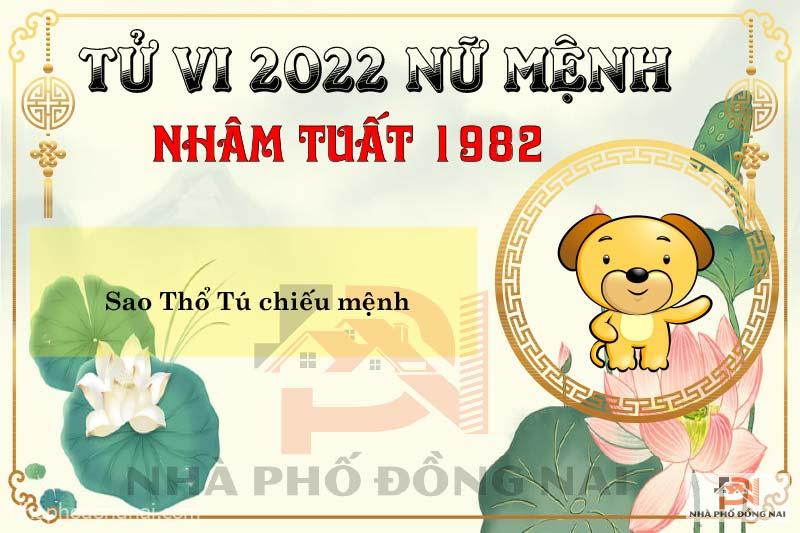 Tu vi tuoi nham tuat nu 2022