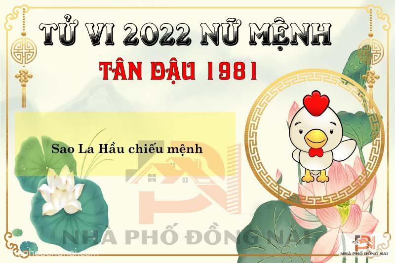 Tử vi tuổi tân dậu năm 2022 nữ mạng