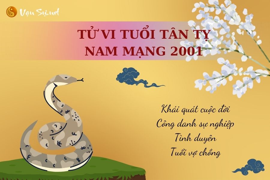 Tử vi tuổi tỵ 2001