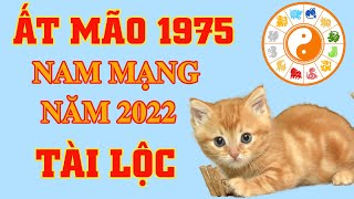 Tuổi ất mão năm nay sao gì