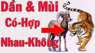 Tuổi dần và tuổi mùi có hợp nhau không