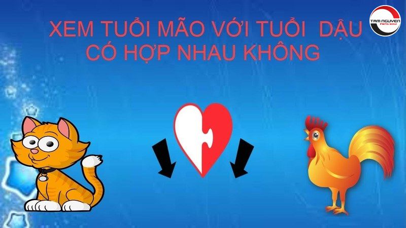 Tuổi dậu và tuổi mão cưới nhau được không