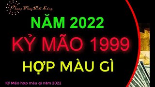 Tuổi mão 1999 hợp màu gì năm 2021