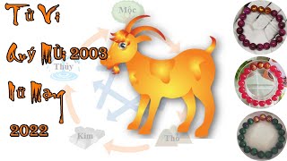 Tuổi mùi 2003 nữ hợp màu gì 2022