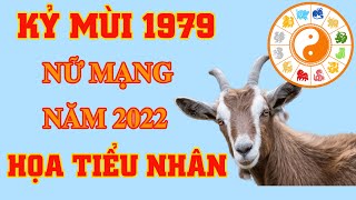 Tuổi mùi năm 2021 sao gì