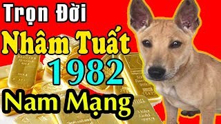 Tuoi nham tuat nam 2018