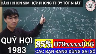 Tuổi quý hợi hợp với số điện thoại nào