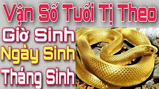 Tuổi tỵ 1989 sinh tháng nào thì tốt