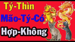 Tuổi tý và tuổi mão lấy nhau có được không