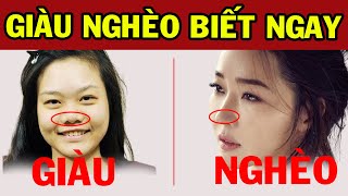 Tướng mũi phụ nữ