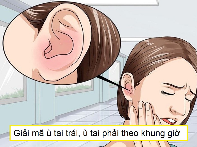 ù tai bên phải là điềm gì