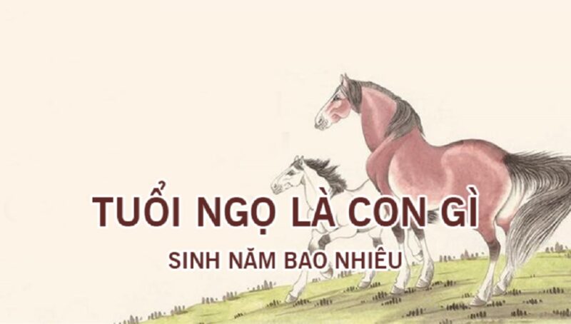 Vợ tuổi tỵ chồng tuổi ngọ có hợp nhau không