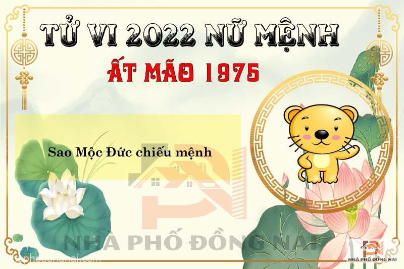 Xem Tử Vi Tuổi Ất Mão 1975 Năm 2022 Nữ Mạng Chi Tiết Soloha.vn